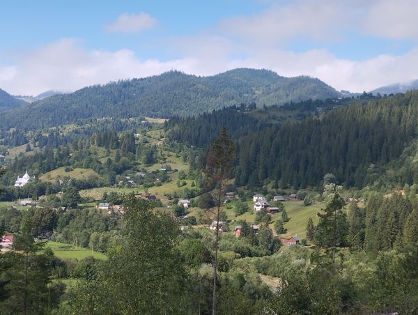 maksimka