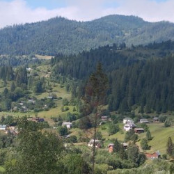 maksimka