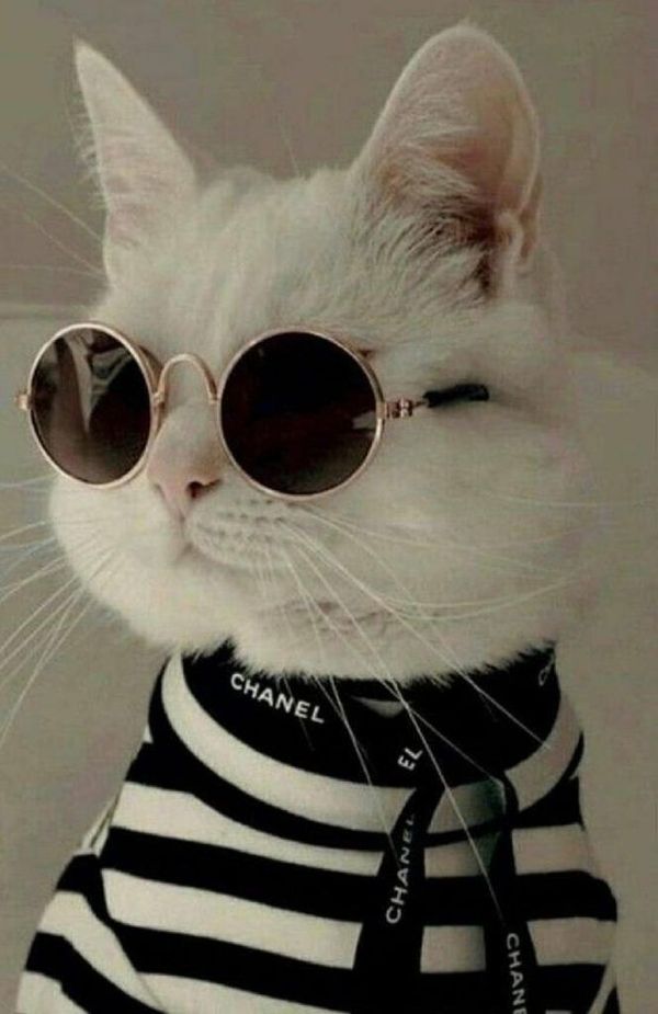 Алена Карпова