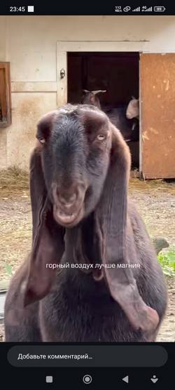 Курбонали Курбоналиев